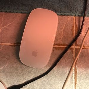 Apple Mouse Gen 1